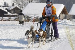 Lenk 2012 SM